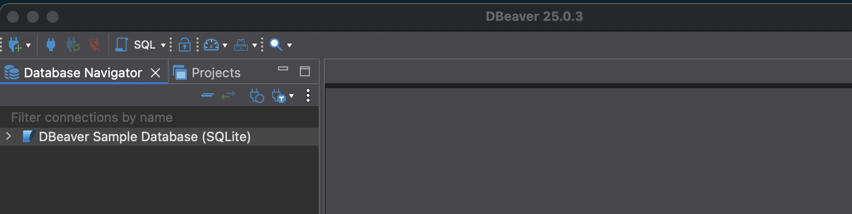 Explore the dBeaver sample database