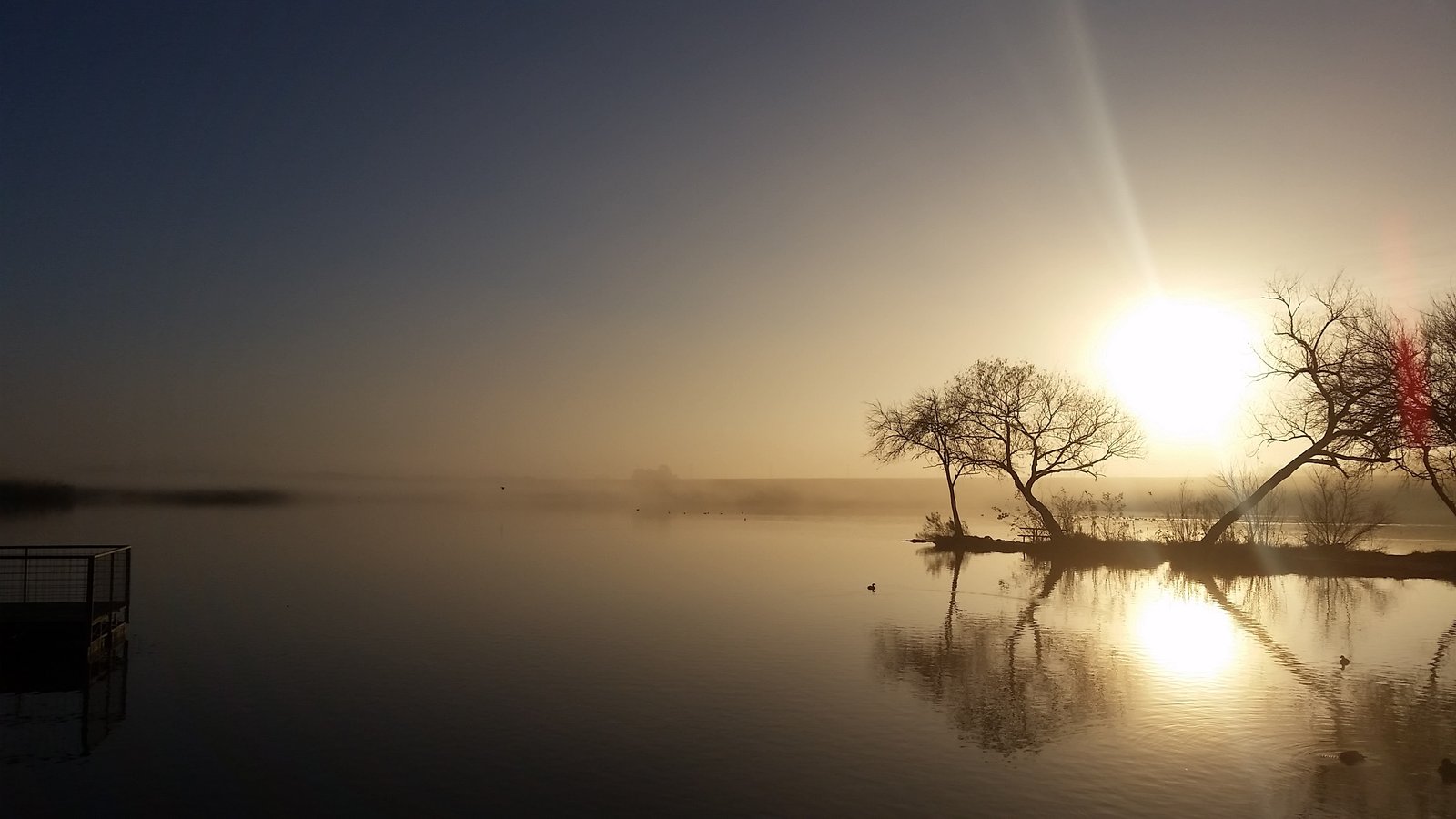 Mist rising off a still lake at sunrise, with bare trees silhouetted on a small island and the sun reflected across the water