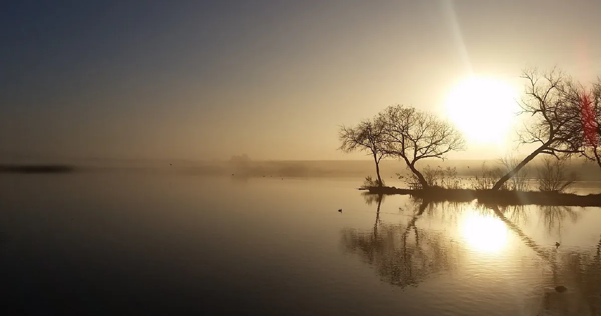 Mist rising off a still lake at sunrise, with bare trees silhouetted on a small island and the sun reflected across the water