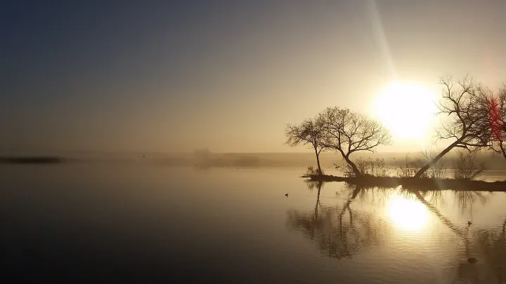 Mist rising off a still lake at sunrise, with bare trees silhouetted on a small island and the sun reflected across the water